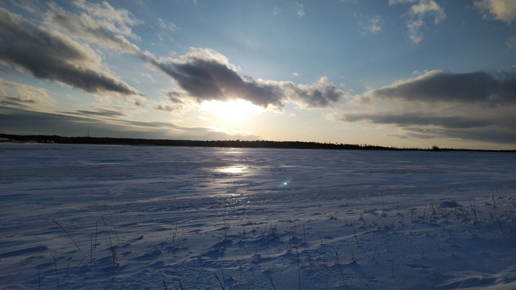 f:id:Trifling4:20190217092538j:plain f:id:Trifling4:20190217092538j:plain