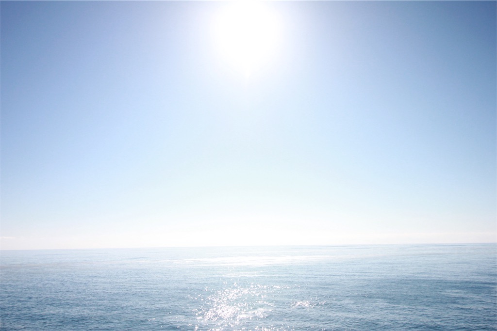 f:id:Trifling4:20190321193349j:image f:id:Trifling4:20190321193349j:image