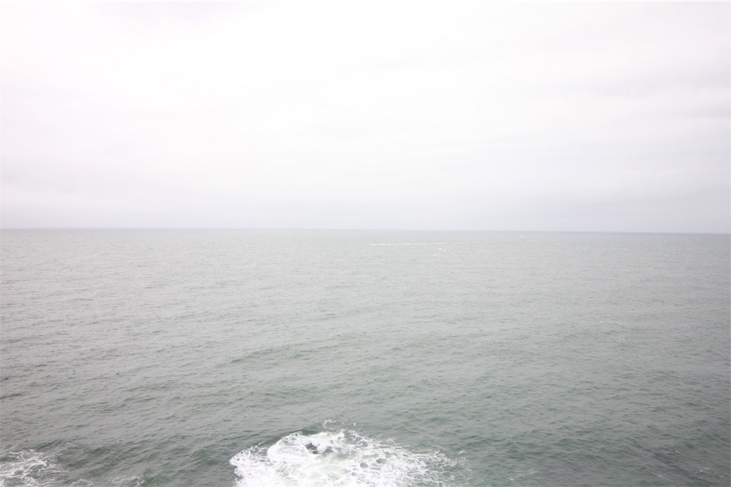 f:id:Trifling4:20190321193641j:image f:id:Trifling4:20190321193641j:image