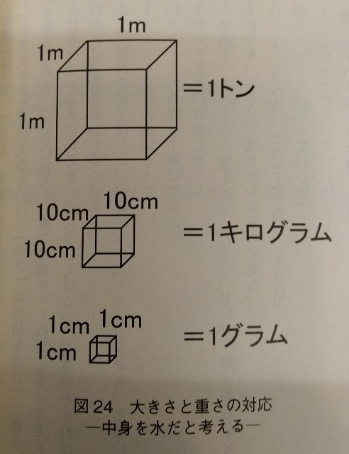 f:id:TrikiKen:20200306130016j:image