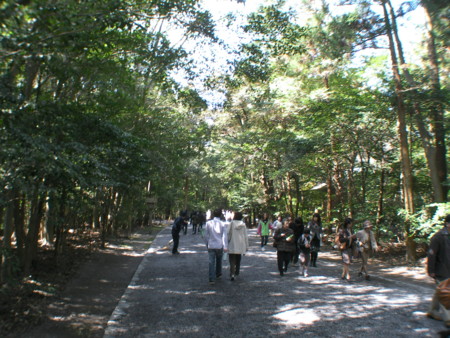 f:id:TrinityT:20090321105214j:image:w100