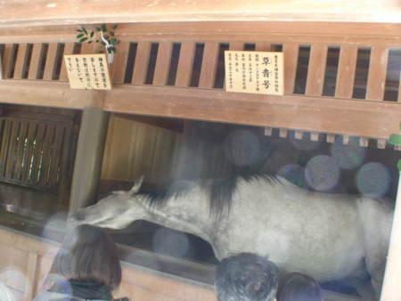 f:id:TrinityT:20090321112913j:image:w100