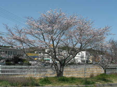 f:id:TrinityT:20090321114307j:image:w100