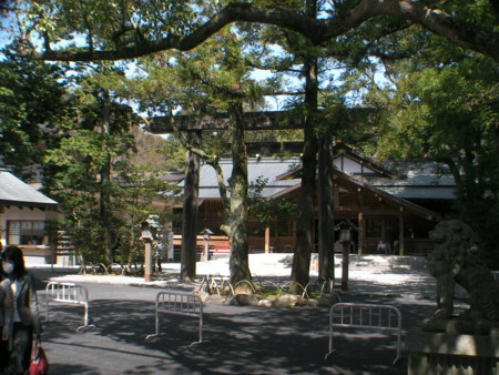 f:id:TrinityT:20090321115701j:image:w100
