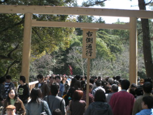 f:id:TrinityT:20090321120755j:image:w100