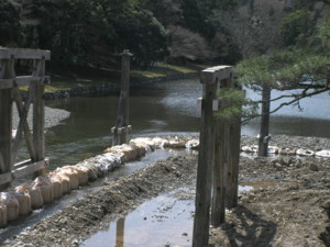 f:id:TrinityT:20090321120821j:image:w100