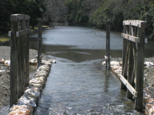 f:id:TrinityT:20090321120852j:image:w100