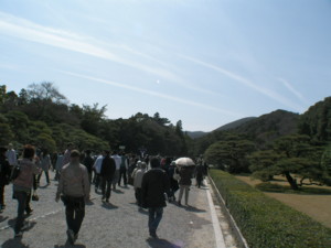 f:id:TrinityT:20090321121131j:image:w100