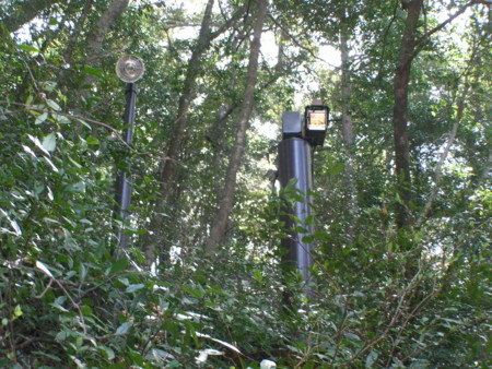 f:id:TrinityT:20090321125726j:image:w100