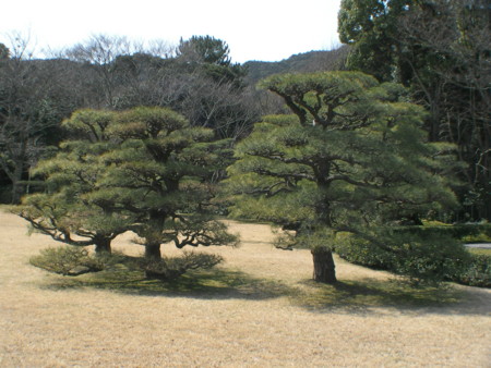 f:id:TrinityT:20090321130551j:image:w100