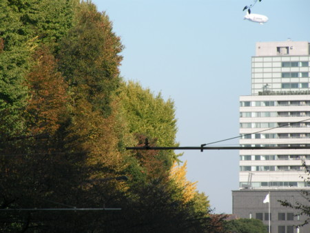 f:id:TrinityT:20091123142825j:image:w150