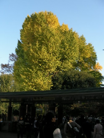 f:id:TrinityT:20091123150007j:image:w150