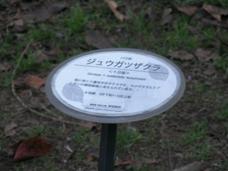 f:id:TrinityT:20091123150513j:image:w150