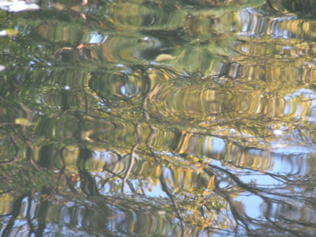 f:id:TrinityT:20091123151549j:image:w150