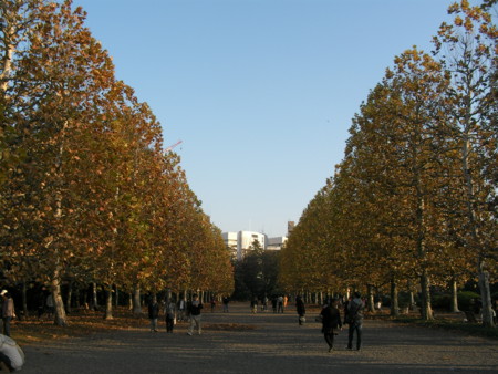 f:id:TrinityT:20091123152309j:image:w150