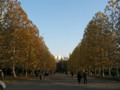 20091123152309