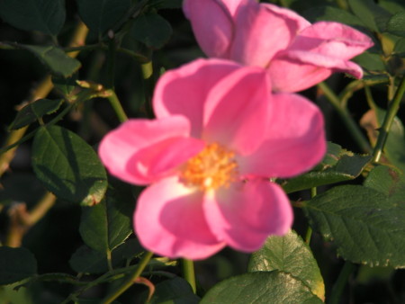 f:id:TrinityT:20091123152440j:image:w150