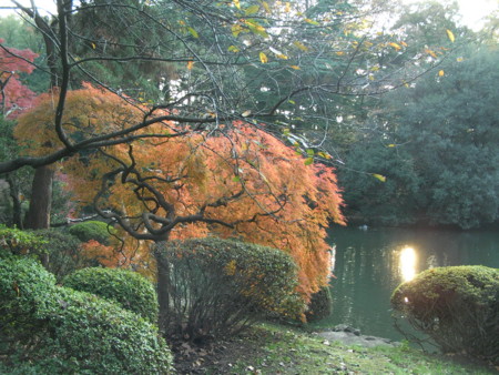 f:id:TrinityT:20091123153517j:image:w150