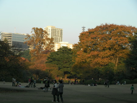 f:id:TrinityT:20091123154311j:image:w150