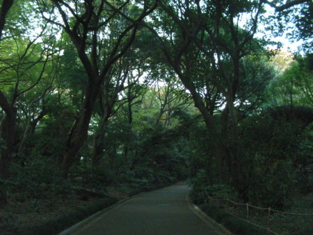 f:id:TrinityT:20091123154847j:image:w150