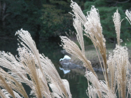 f:id:TrinityT:20091123155313j:image:w150