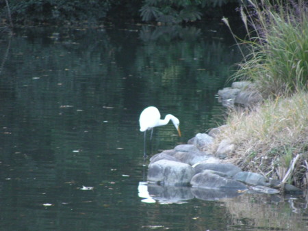 f:id:TrinityT:20091123155345j:image:w150
