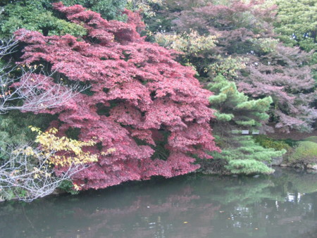 f:id:TrinityT:20091123155518j:image:w150