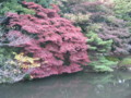 20091123155518
