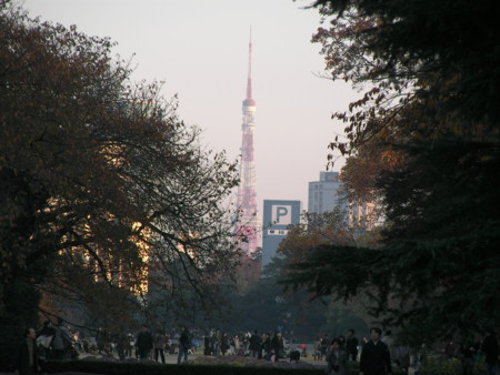 f:id:TrinityT:20091123160034j:image:w150