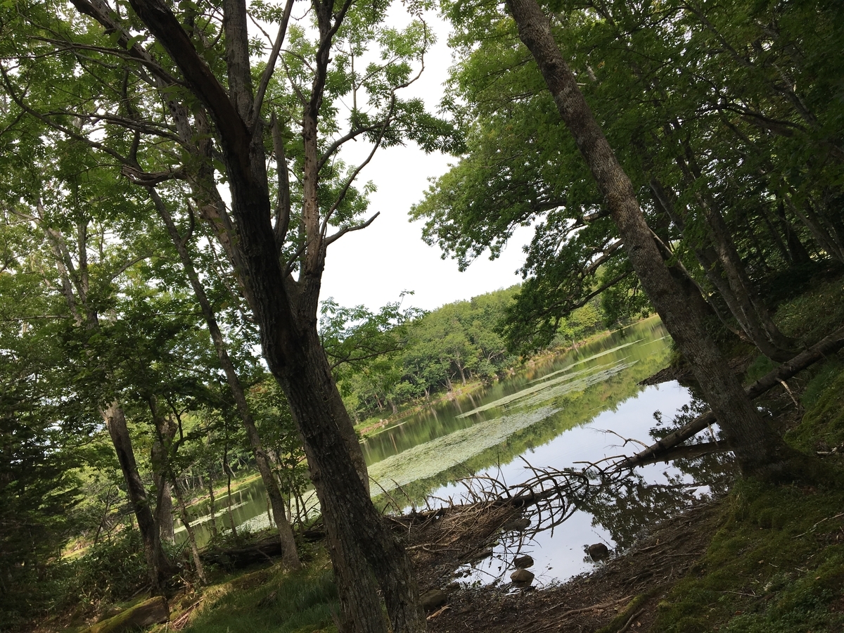 f:id:TripLover_2D2D:20200524105039j:plain