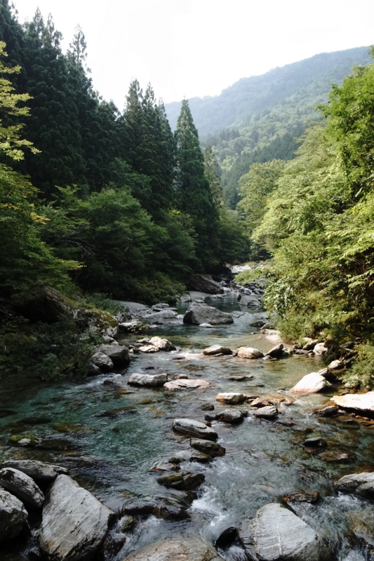 f:id:Tropics2010:20150731125043j:image:w360