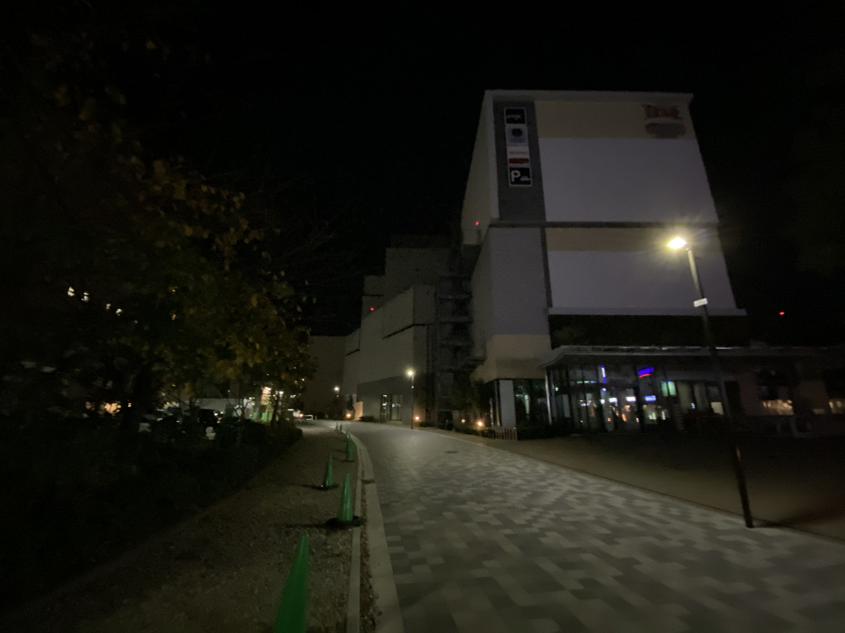 f:id:TrpFrog:20201123235150j:plain