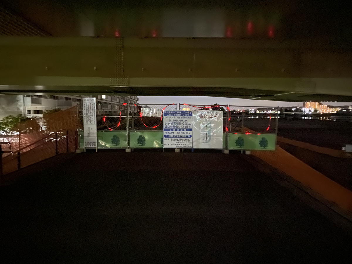 f:id:TrpFrog:20201123235844j:plain