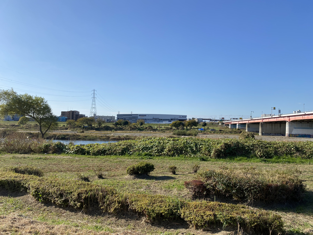 f:id:TrpFrog:20201124013508j:plain