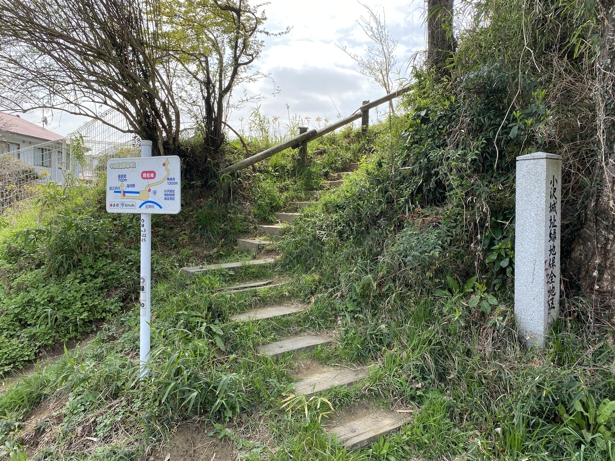 f:id:TrpFrog:20210402225924j:plain