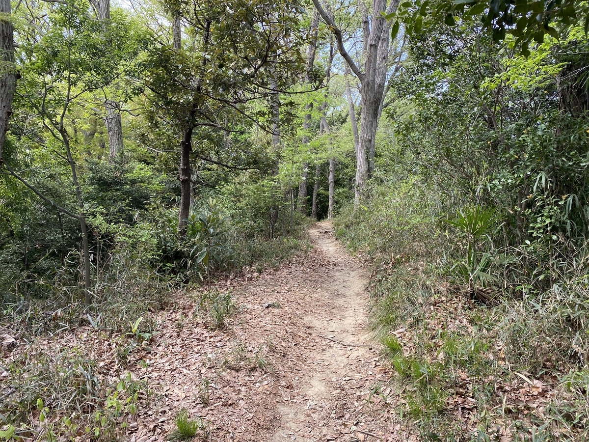 f:id:TrpFrog:20210402230331j:plain