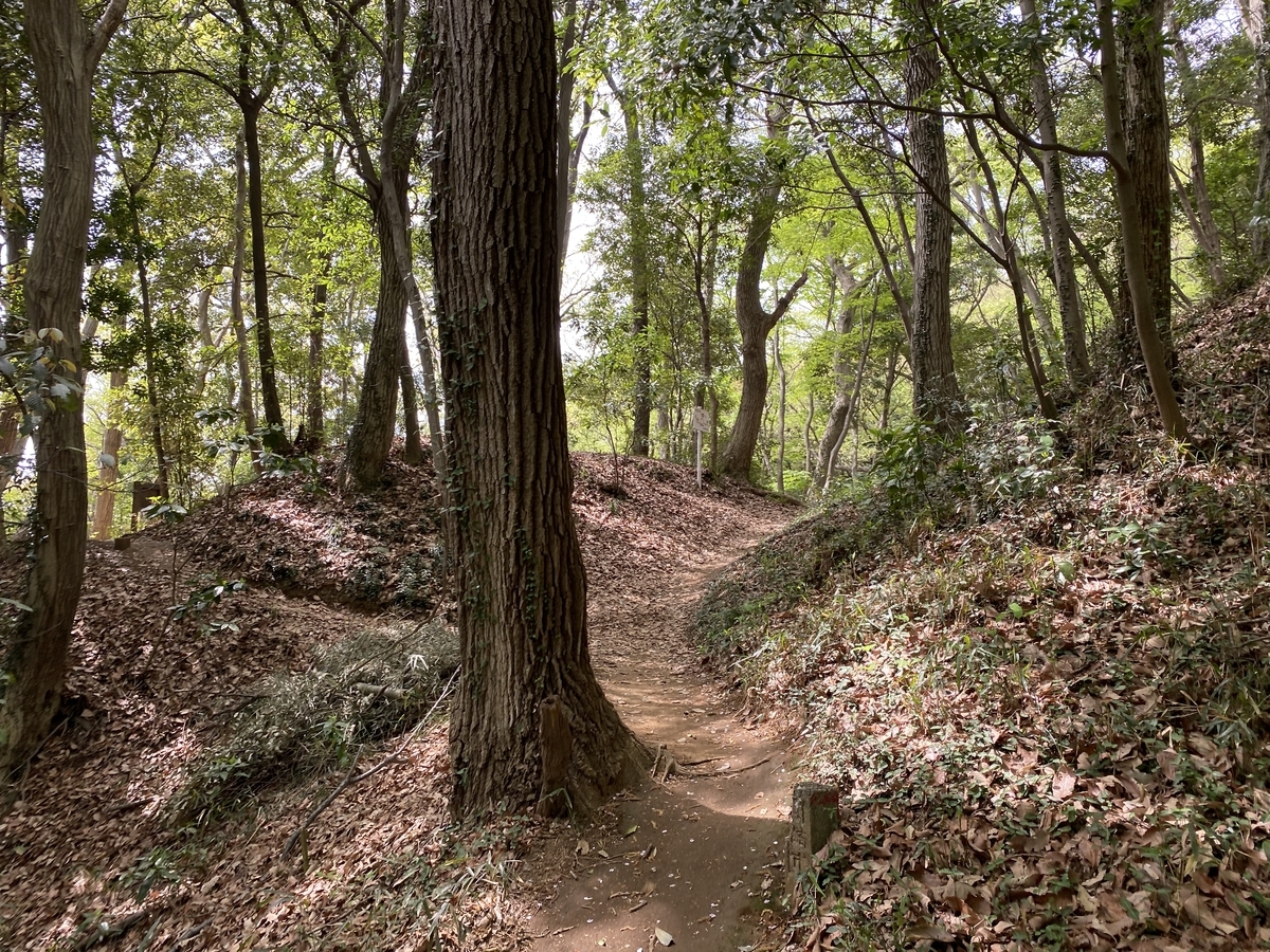 f:id:TrpFrog:20210402230410j:plain