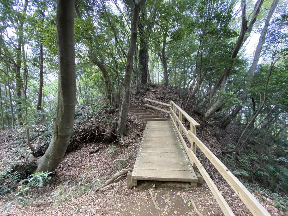 f:id:TrpFrog:20210402230632j:plain