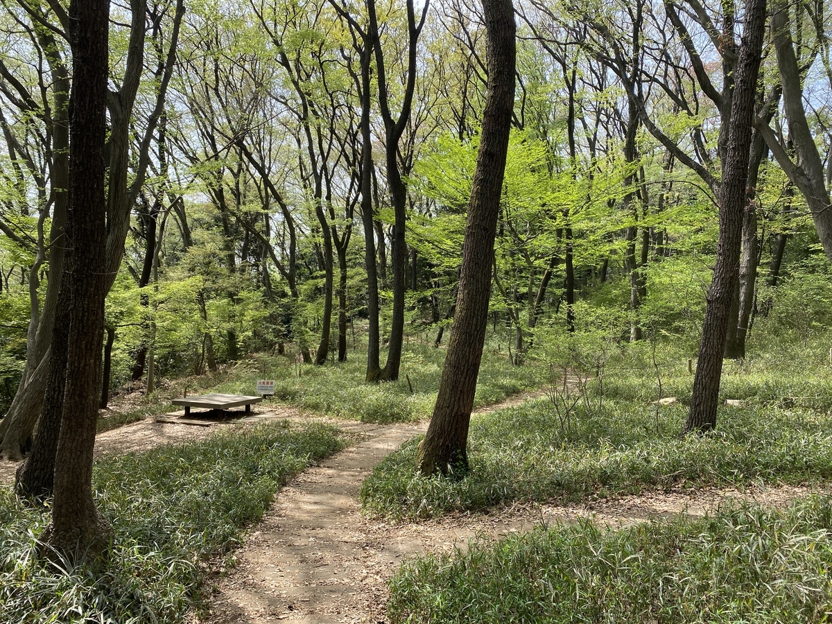 f:id:TrpFrog:20210402230802j:plain