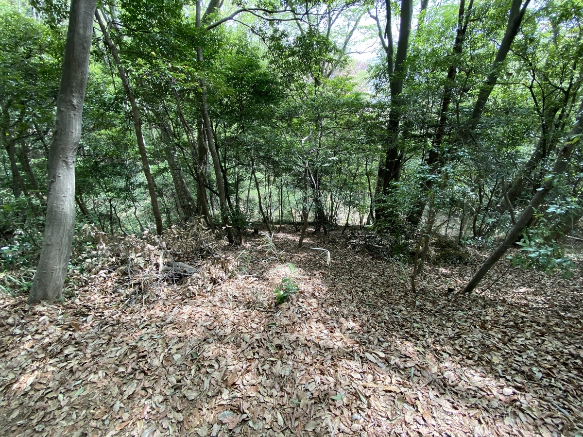 f:id:TrpFrog:20210402230844j:plain