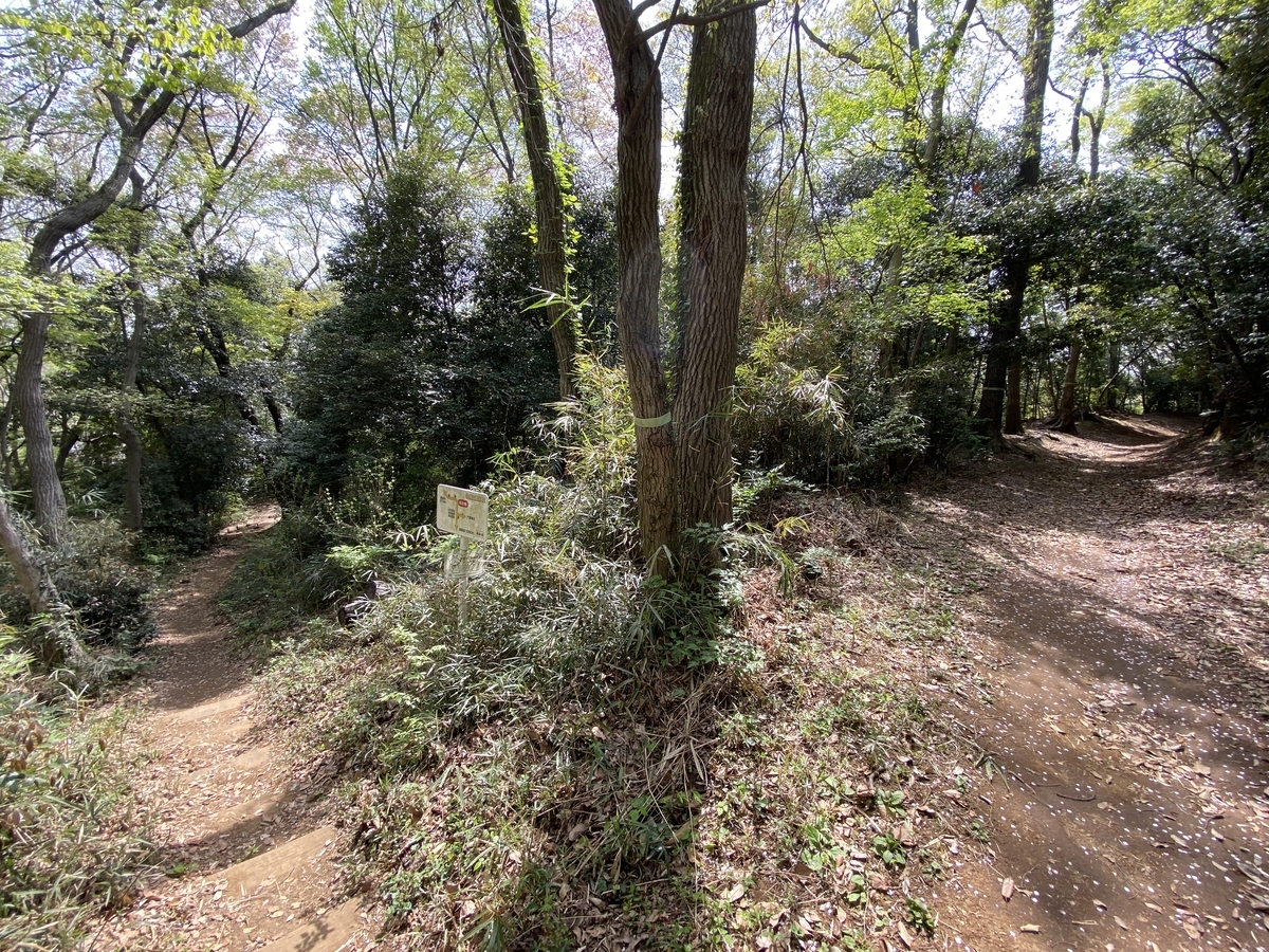 f:id:TrpFrog:20210402231123j:plain