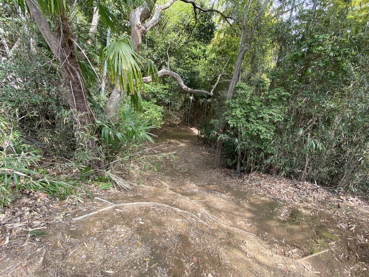 f:id:TrpFrog:20210402231245j:plain