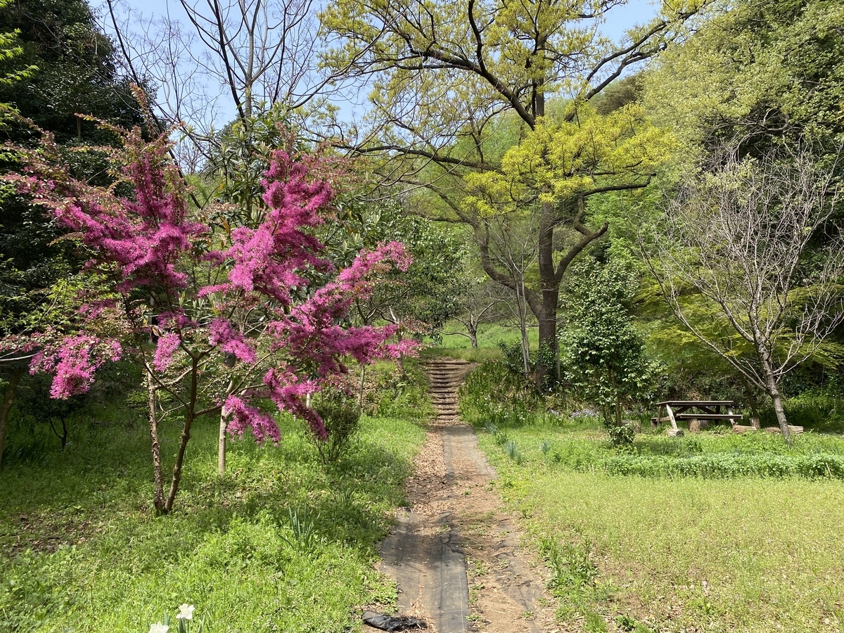 f:id:TrpFrog:20210402231523j:plain