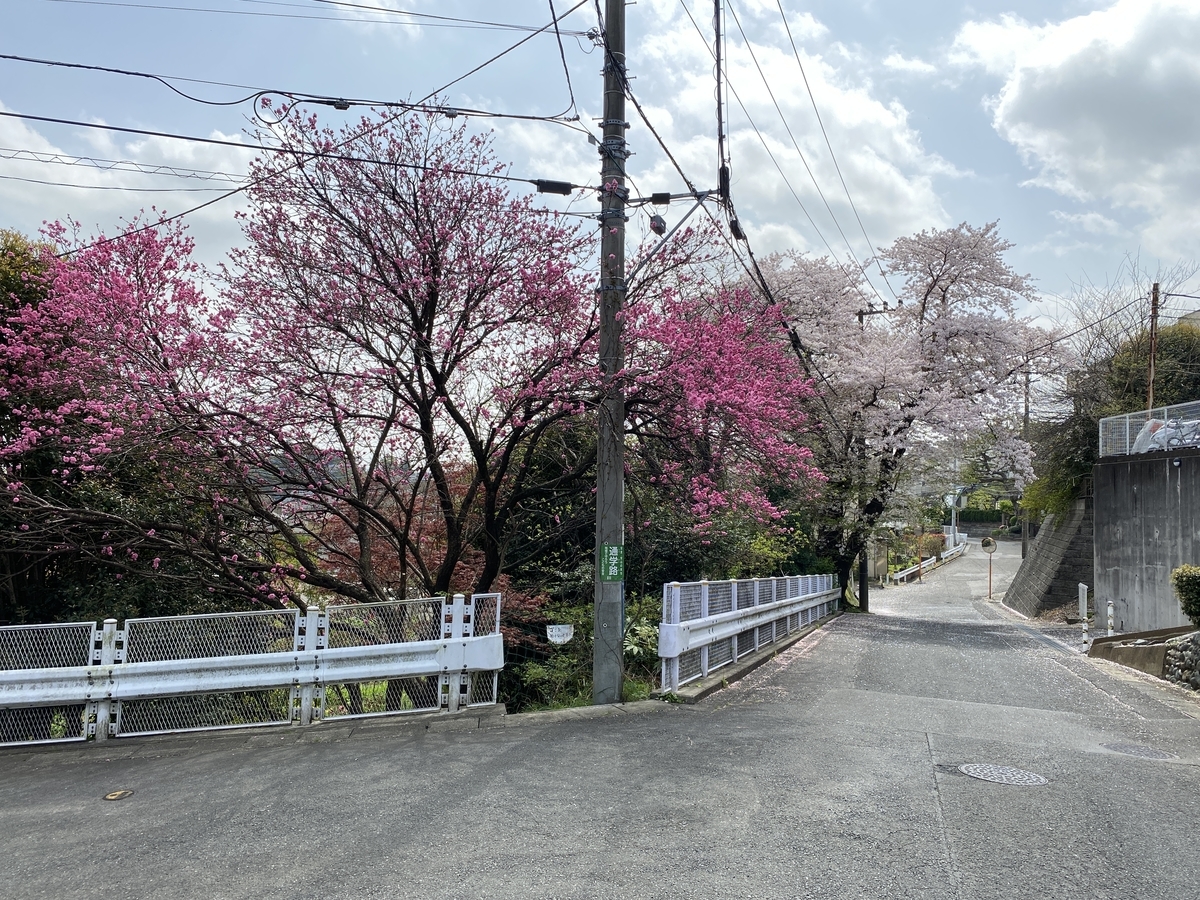 f:id:TrpFrog:20210402232740j:plain