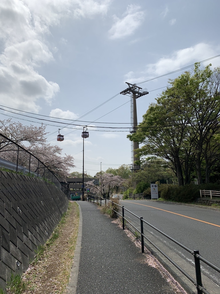 f:id:TrpFrog:20210403012441j:plain