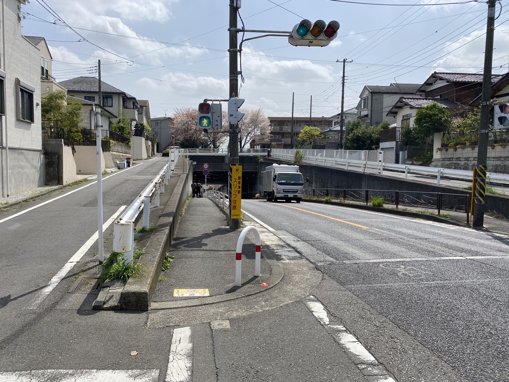 f:id:TrpFrog:20210403012708j:plain