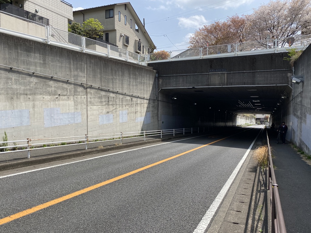 f:id:TrpFrog:20210403012750j:plain