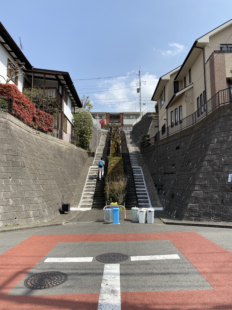 f:id:TrpFrog:20210403012810j:plain