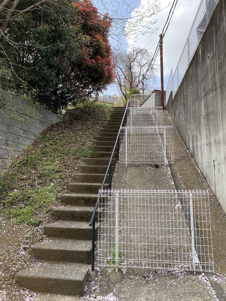 f:id:TrpFrog:20210403012843j:plain