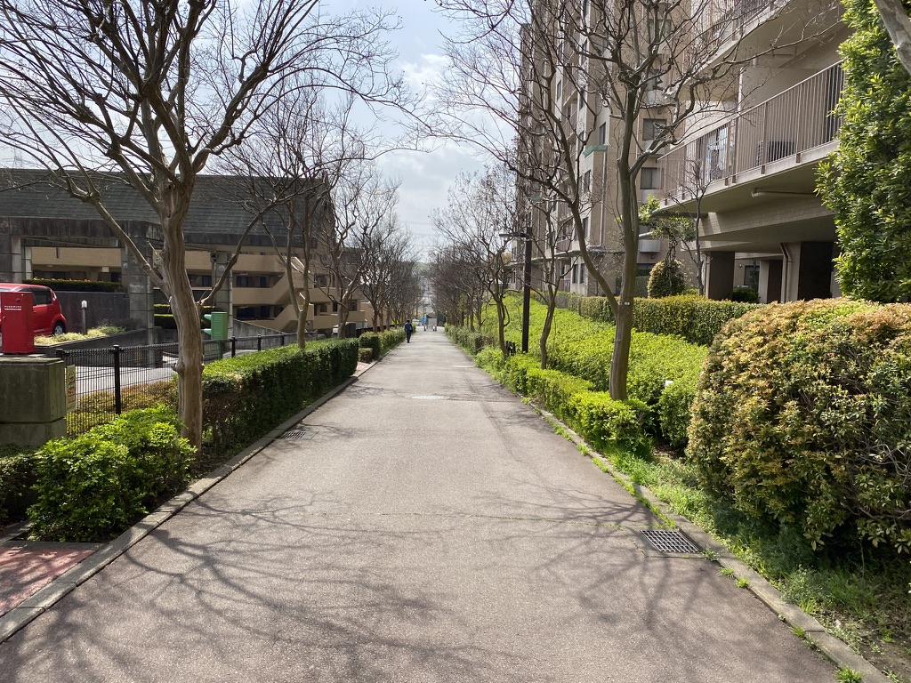 f:id:TrpFrog:20210403014128j:plain